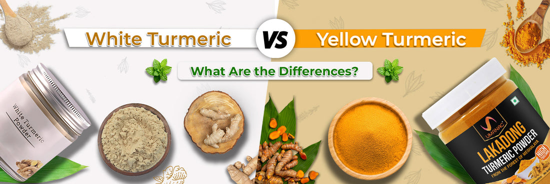 white turmeric vs yellow turmeric